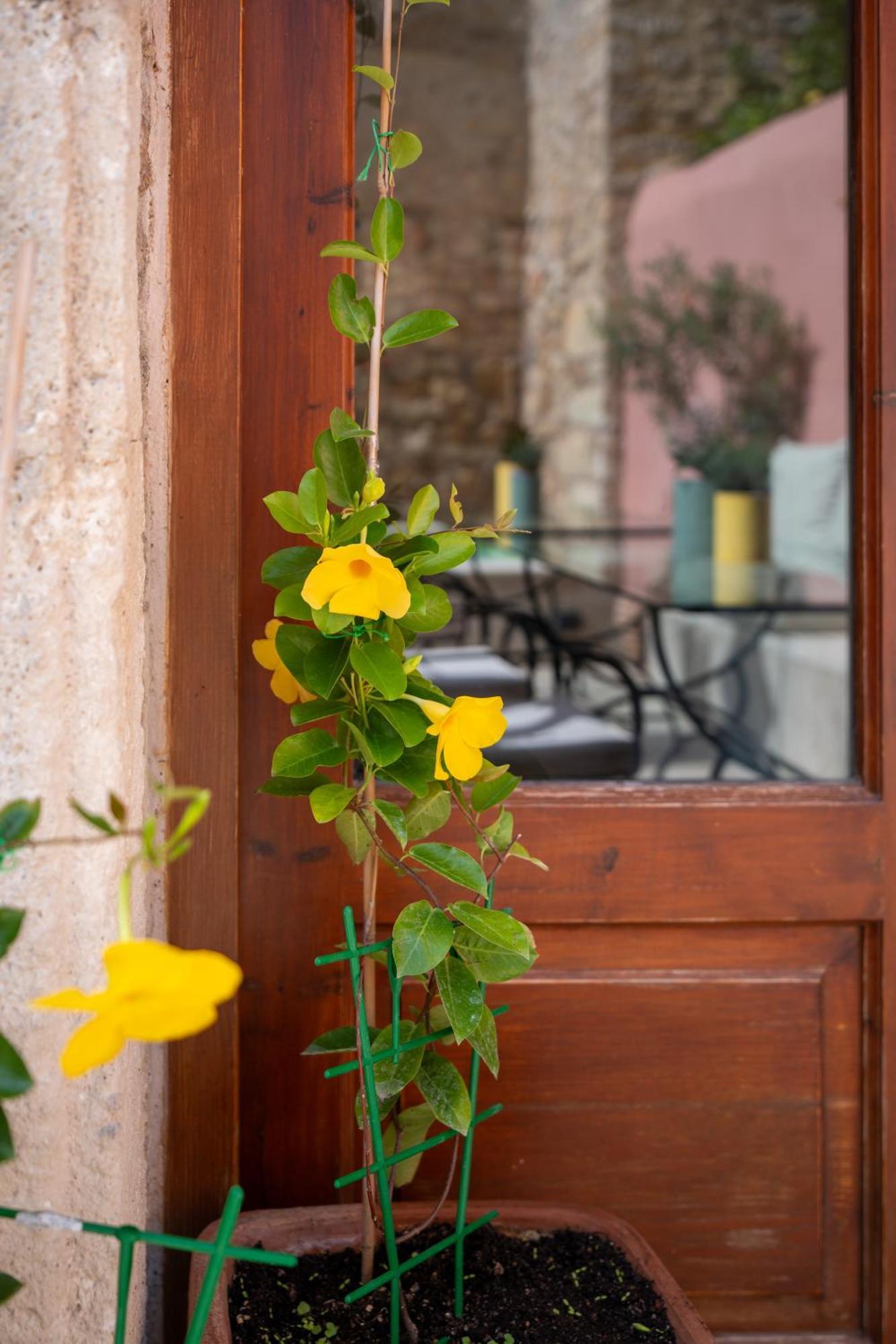 Phaedra Suites (Adults Only) Rethymno Exterior foto